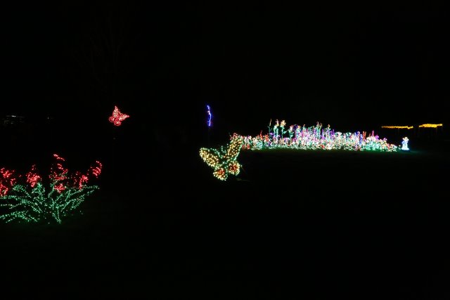 Garden D'Lights
(Click on the picture for the full-size version)