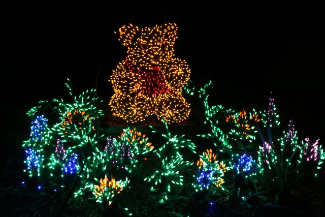 Garden D'Lights
(Click on the picture for the full-size version)