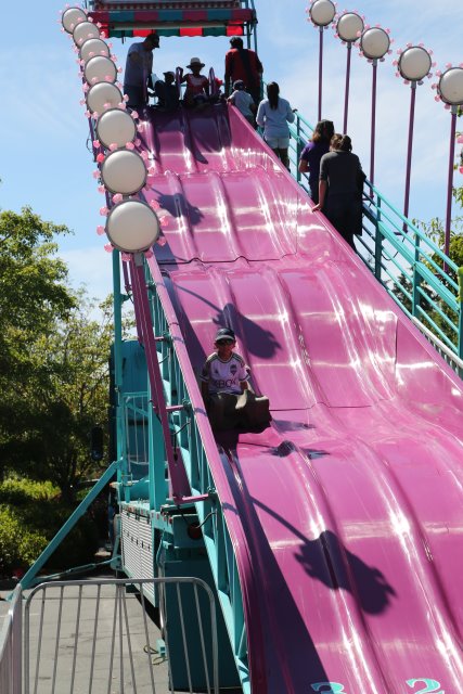 Strawberry Festival 2016
(Click on the picture for the full-size version)