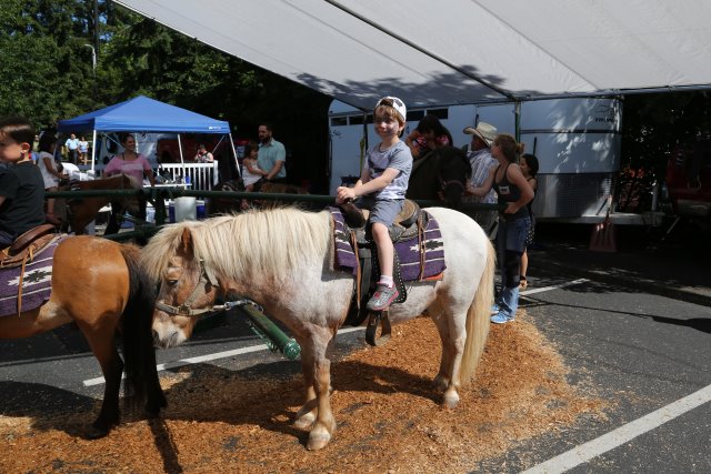 Strawberry Festival 2016
(Click on the picture for the full-size version)