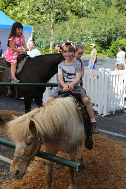 Strawberry Festival 2016
(Click on the picture for the full-size version)