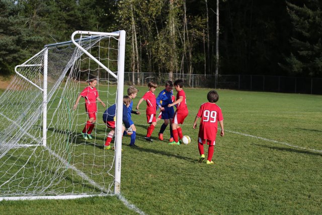 Vlad @ Soccer, 09/24
(Click on the picture for the full-size version)