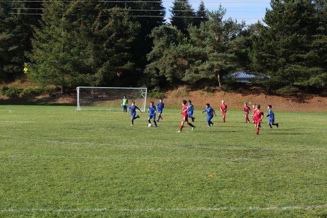 Vlad @ Soccer, 09/24
(Click on the picture for the full-size version)