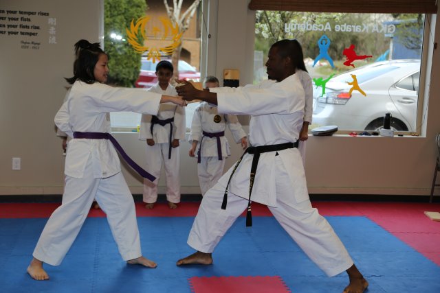 Vlad's Karate 4th Kyu 
(Click on the picture for the full-size version)