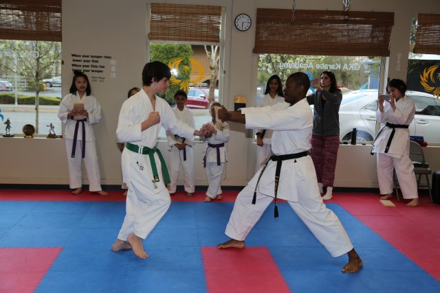Vlad's Karate 4th Kyu 
(Click on the picture for the full-size version)