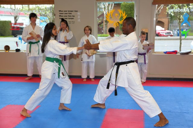 Vlad's Karate 4th Kyu 
(Click on the picture for the full-size version)
