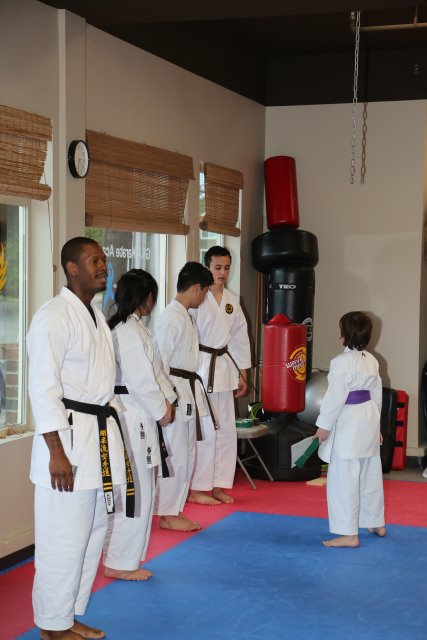 Vlad's Karate 4th Kyu 
(Click on the picture for the full-size version)