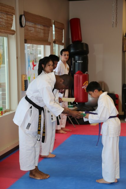 Vlad's Karate 4th Kyu 
(Click on the picture for the full-size version)