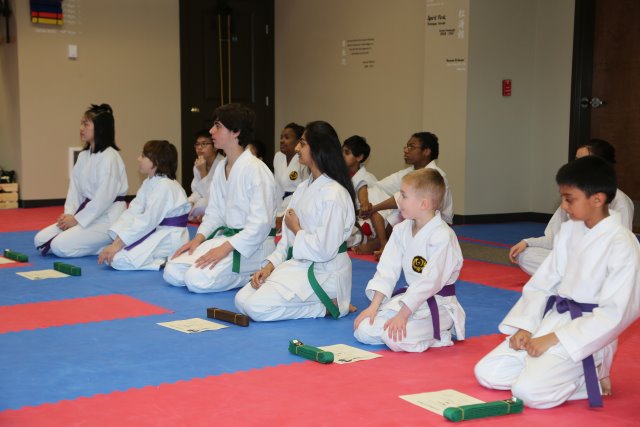 Vlad's Karate 4th Kyu 
(Click on the picture for the full-size version)