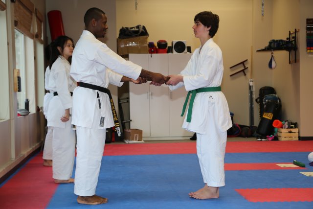 Vlad's Karate 4th Kyu 
(Click on the picture for the full-size version)