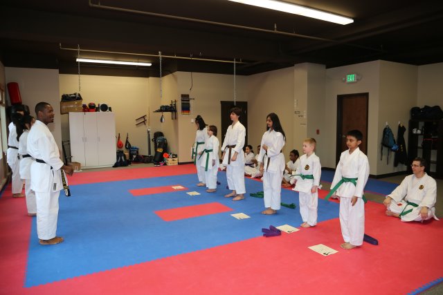 Vlad's Karate 4th Kyu 
(Click on the picture for the full-size version)