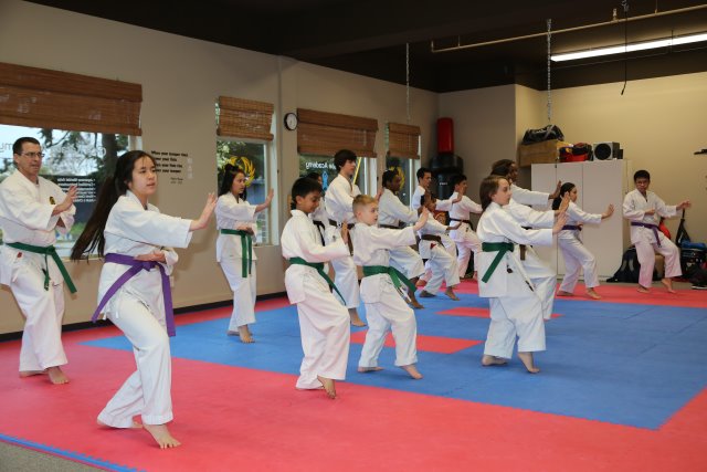 Vlad's Karate 4th Kyu 
(Click on the picture for the full-size version)