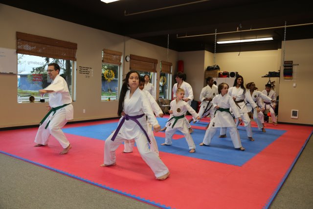 Vlad's Karate 4th Kyu 
(Click on the picture for the full-size version)