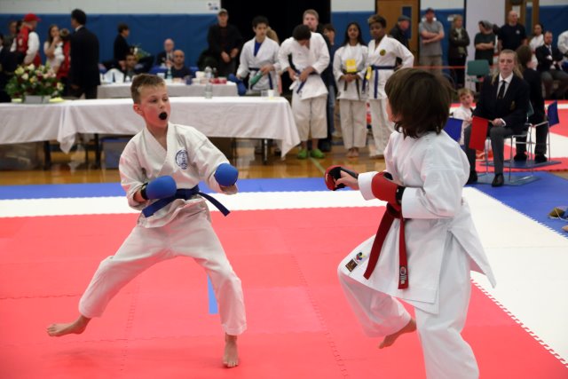 Vlad @ 2017 International Karate Championship, 5/13
(Click on the picture for the full-size version)