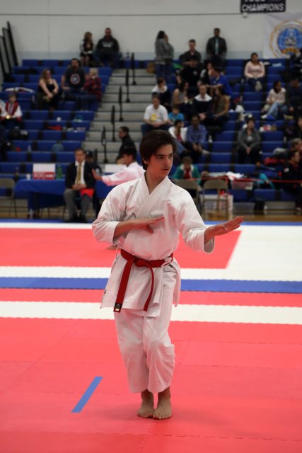 Alin Constantin's Photography - Vlad @ 2017 International Karate Championship, 5/13
(Click on the picture for the full-size version)