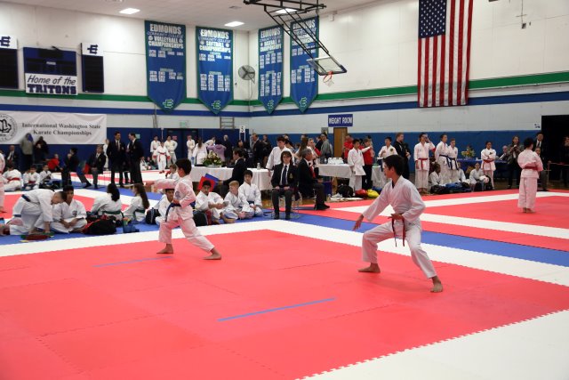 Vlad @ 2017 International Karate Championship, 5/13
(Click on the picture for the full-size version)