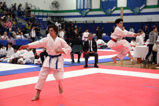 Vlad @ 2017 International Karate Championship, 5/13
(Click on the picture for the full-size version)