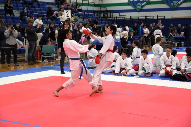 Vlad @ 2017 International Karate Championship, 5/13
(Click on the picture for the full-size version)