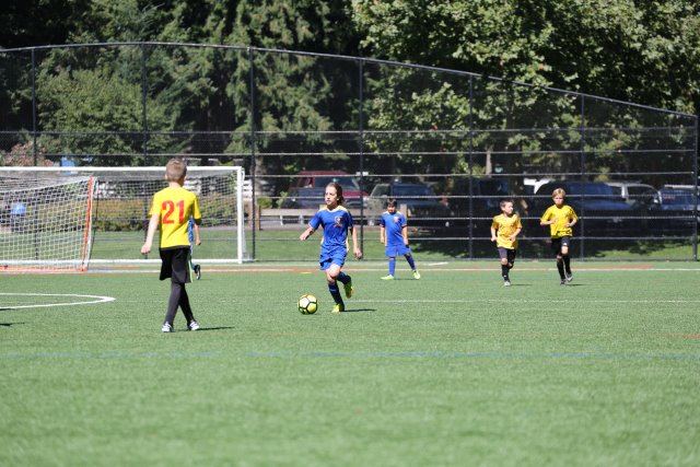 Alin Constantin's Photography - Vlad pre-season jamboree Soccer vs Panthers, Blue Phoenix, Eastgate Eagles, 9/02
(Click on the picture for the full-size version)