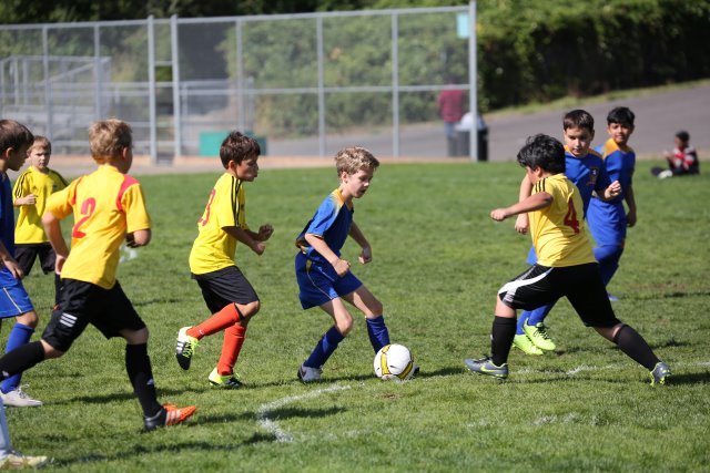 Alin Constantin's Photography - Vlad Soccer 9/23
(Click on the picture for the full-size version)