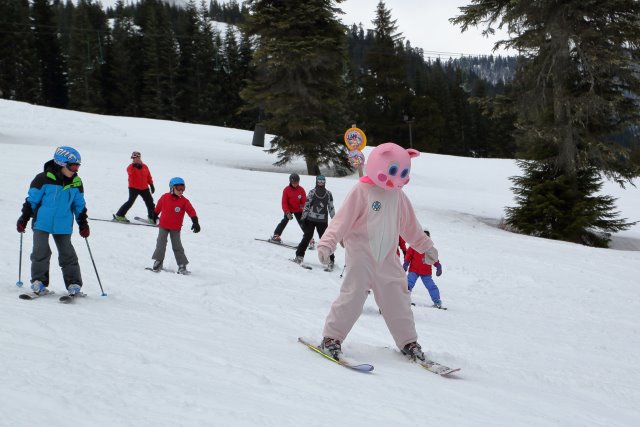 Last ski day and Powederpigs Snake, 3/18
(Click on the picture for the full-size version)
