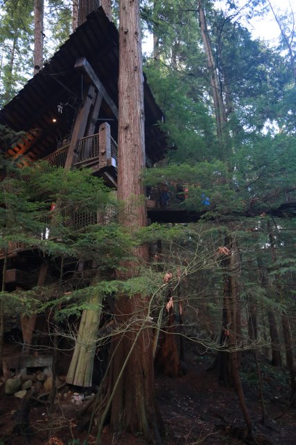 Capilano suspension bridge, 2/24
(Click on the picture for the full-size version)