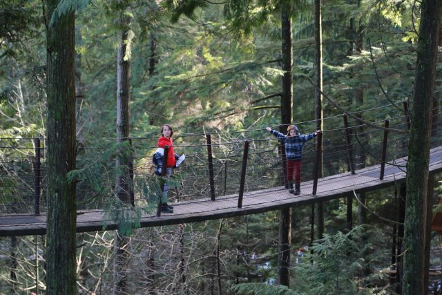 Capilano suspension bridge, 2/24
(Click on the picture for the full-size version)