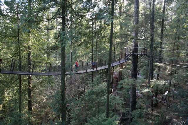 Capilano suspension bridge, 2/24
(Click on the picture for the full-size version)