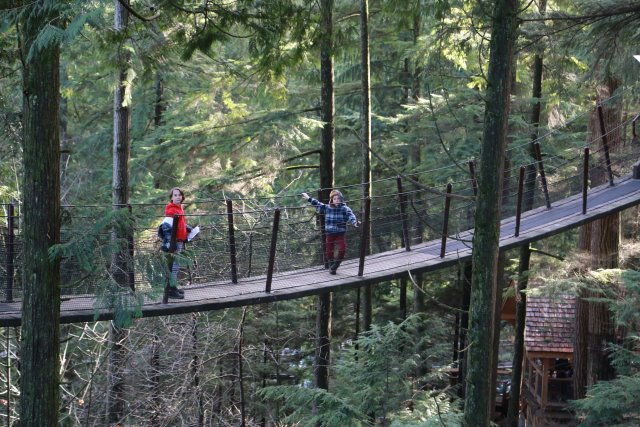 Capilano suspension bridge, 2/24
(Click on the picture for the full-size version)
