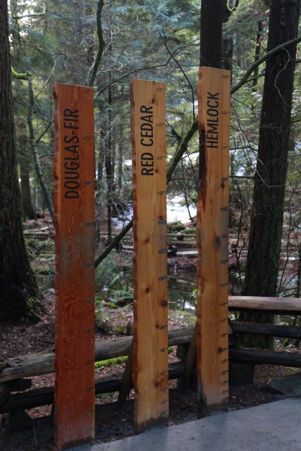 Capilano suspension bridge, 2/24
(Click on the picture for the full-size version)