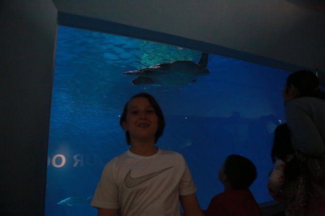 Tacoma Point Defiance Zoo, 6/30
(Click on the picture for the full-size version)