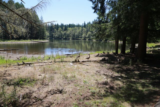 At Northwest Trek, 7/21
(Click on the picture for the full-size version)