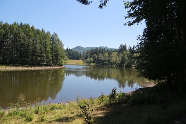 At Northwest Trek, 7/21
(Click on the picture for the full-size version)