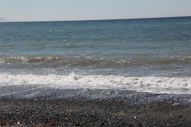 At Dungeness Spit, 7/18
(Click on the picture for the full-size version)