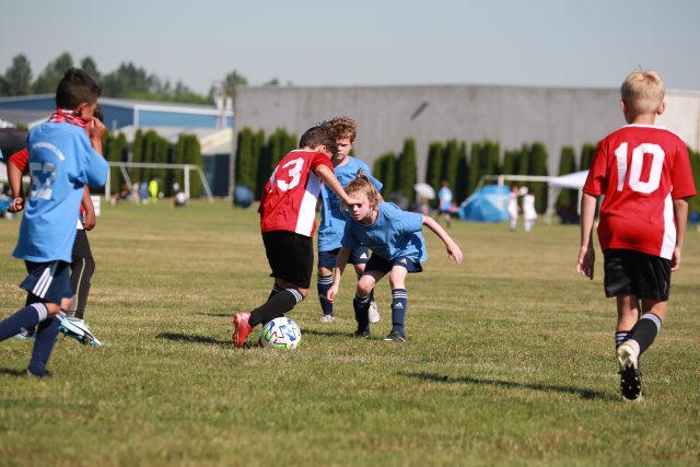 Skagit Firecracker soccer cup, 6/26
(Click on the picture for the full-size version)