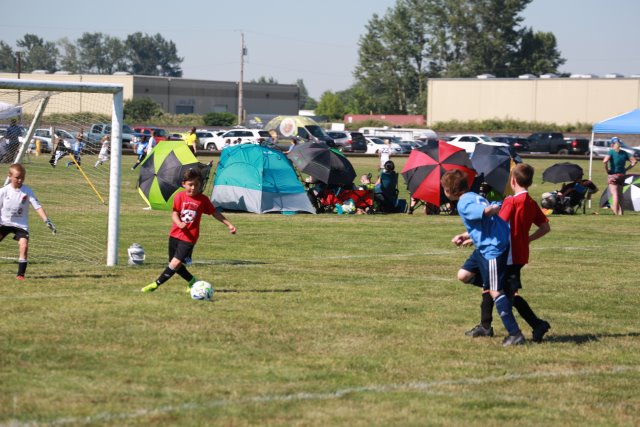 Skagit Firecracker soccer cup, 6/26
(Click on the picture for the full-size version)