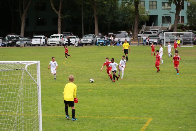 Starfire soccer cup, 7/16
(Click on the picture for the full-size version)