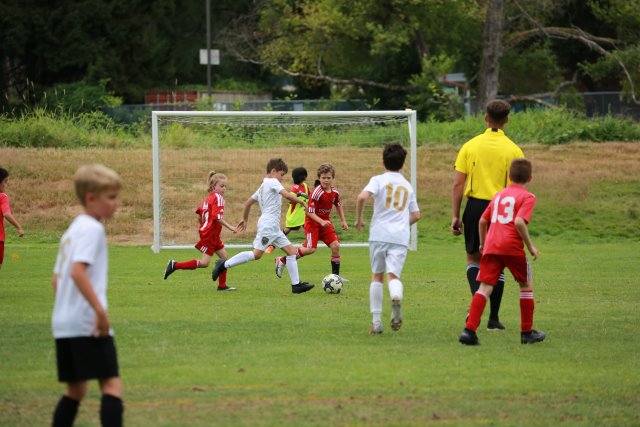 Alin Constantin's Photography - Starfire soccer cup, 7/16
(Click on the picture for the full-size version)