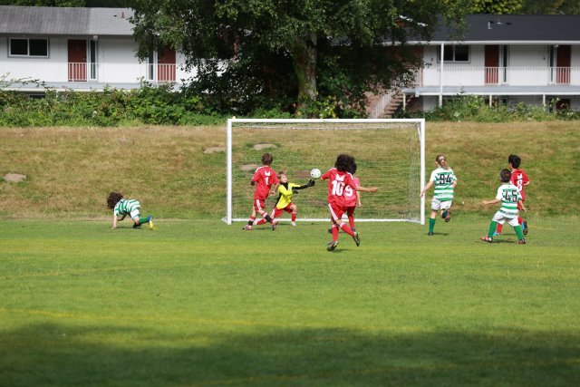 Starfire soccer cup, 7/16
(Click on the picture for the full-size version)